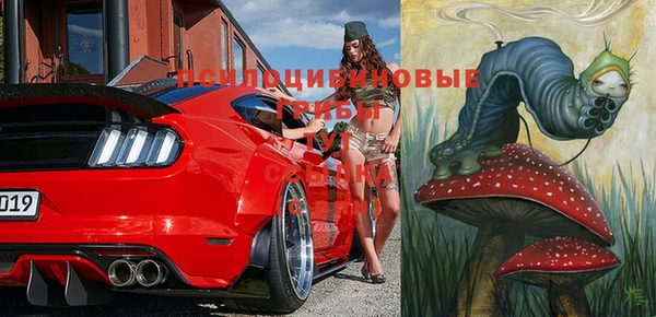 a pvp Арсеньев