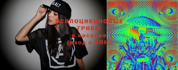соль ск Осташков