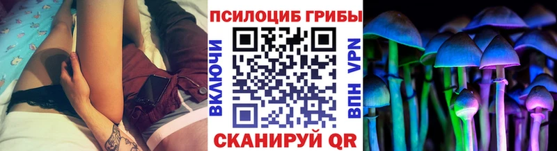 Галлюциногенные грибы ЛСД  как найти закладки  Салаир 